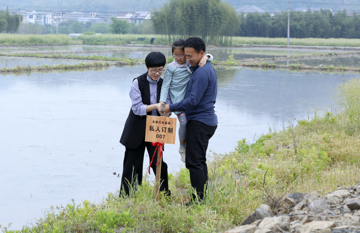 今年"五一"假期,来到杭州市临安区於潜镇的绍鲁村,只见拖拉机正在200