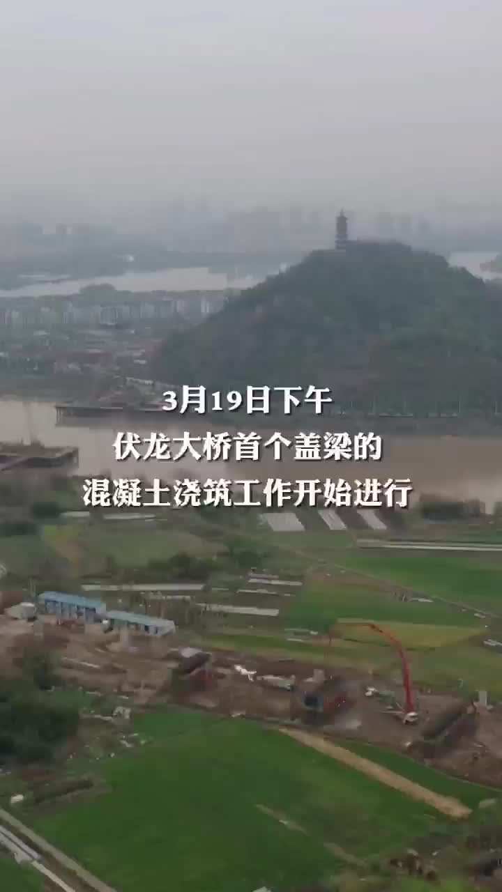 直击现场伏龙大桥工程完成首个盖梁浇筑