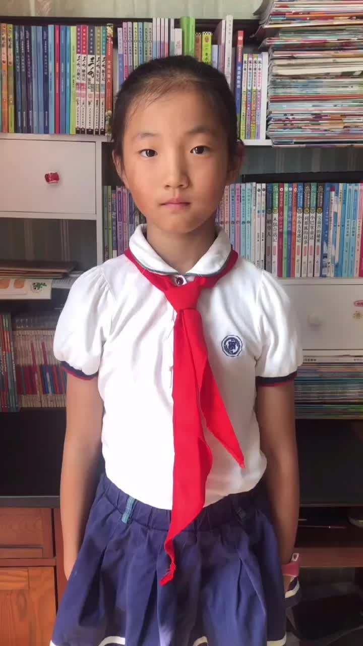 钱塘少年万条心语歌颂党学正学子田雨辰向党致敬