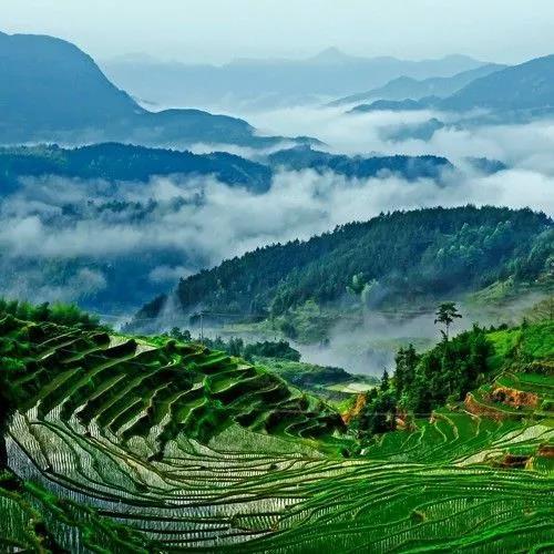 微信图片_20191005094317.jpg
