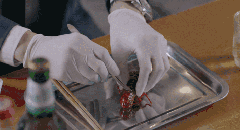 微信图片_20191016205320.gif