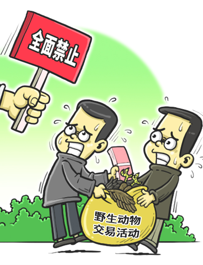 "跨省上班"太难了?沪苏浙"跨界作战"助力企业复工