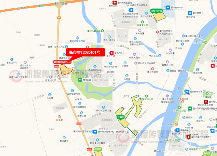 衢市智[2020]01号.jpg