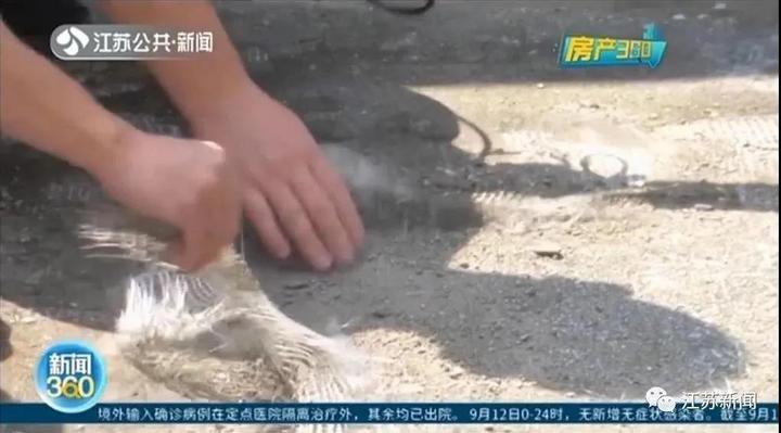 微信图片_20200914153223.jpg