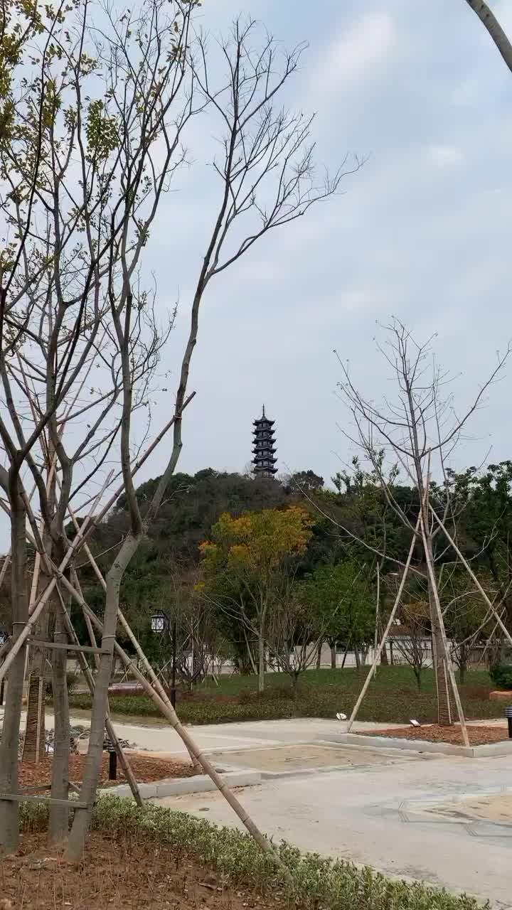 永康市塔山公园建设图片