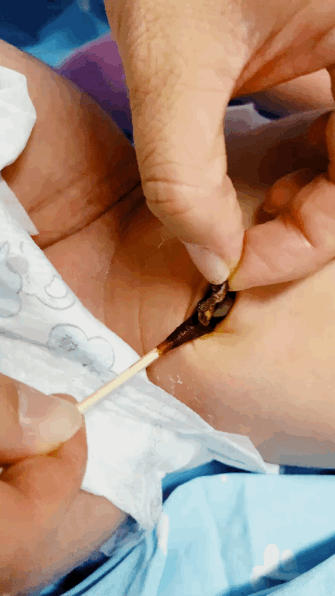 微信图片_20201230112813.gif