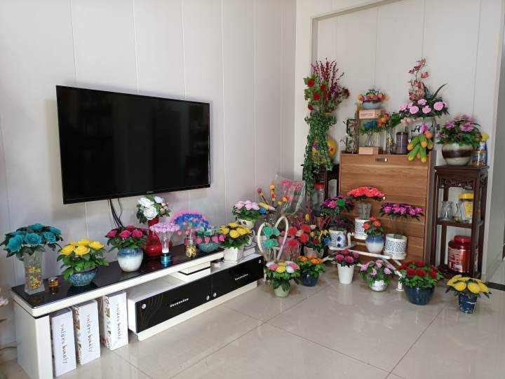 阿姨家里各种花.jpg