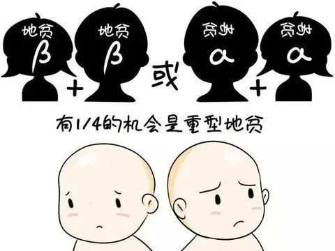 2b9d6dc65a21ed5e13e6943af0565c02.jpg