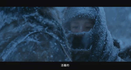1.gif