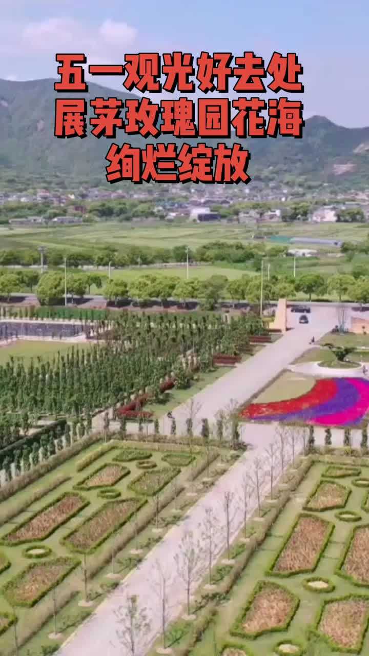 身边的美好普陀展茅的海上玫瑰园你去了吗