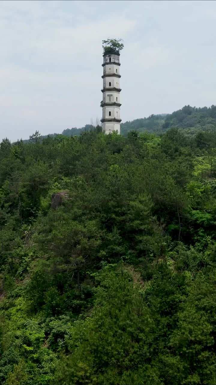 航拍长三角仁寿古塔挺拔秀丽似妙笔塔尖长树如生花