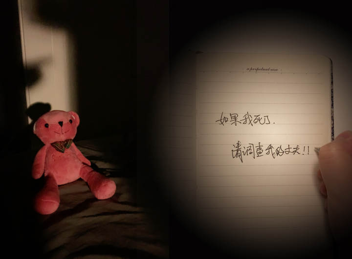 手写日记图.jpg