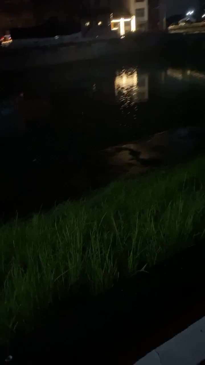 下雨天夜晚钓鱼的人