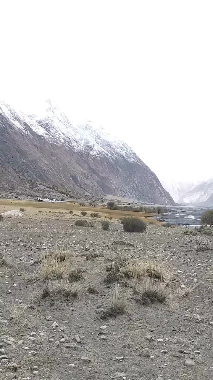 寒风刺骨