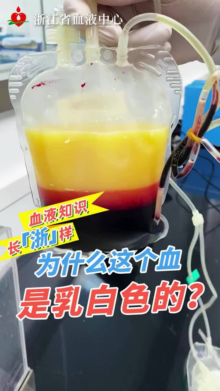 血液知识长浙样为什么这个血是乳白色的