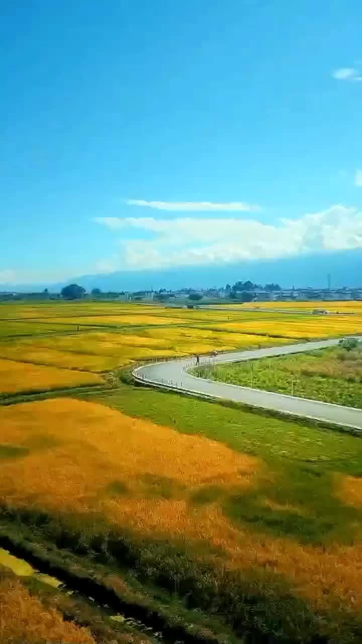 美丽的田野电视剧图片