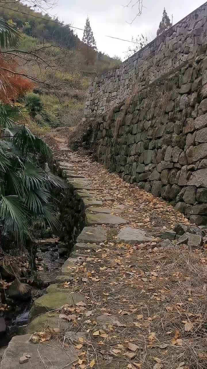 羊肠小道大峡谷图片