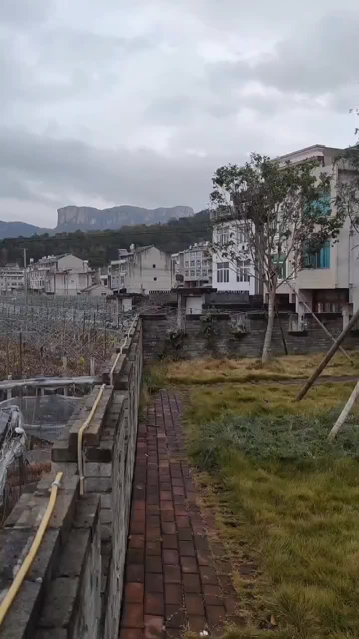 文化礼堂我的乡村我的家温岭市温峤镇杨公岙村