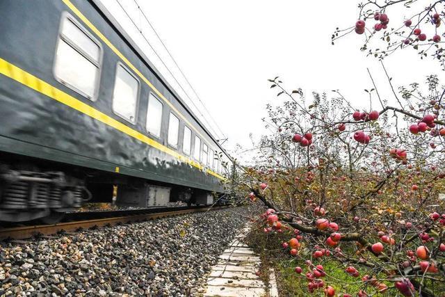 11月29日,一列綠皮火車從雲南省昭通市昭陽區小龍洞鄉小龍洞村的