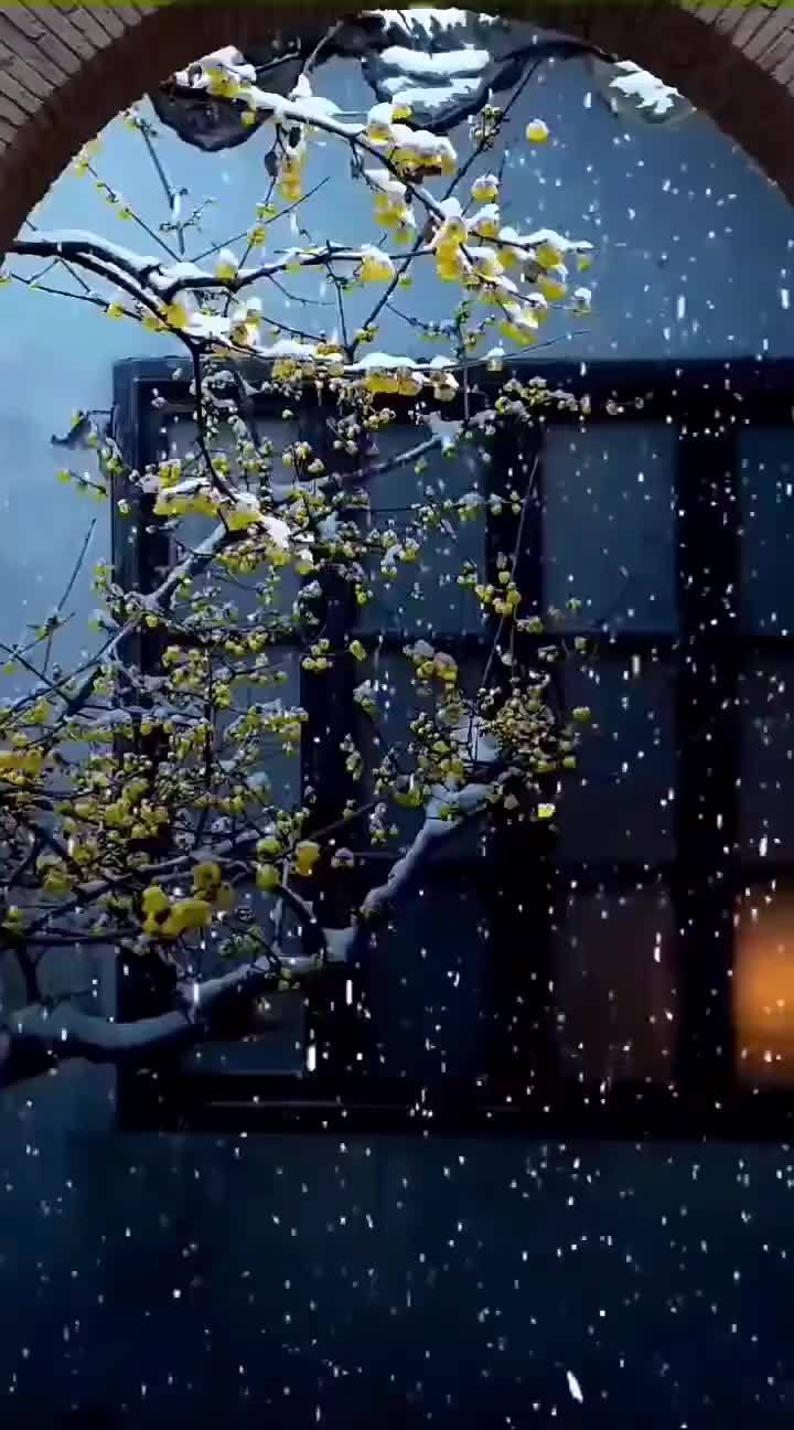 春赏百花冬观雪醒亦念卿梦亦念卿
