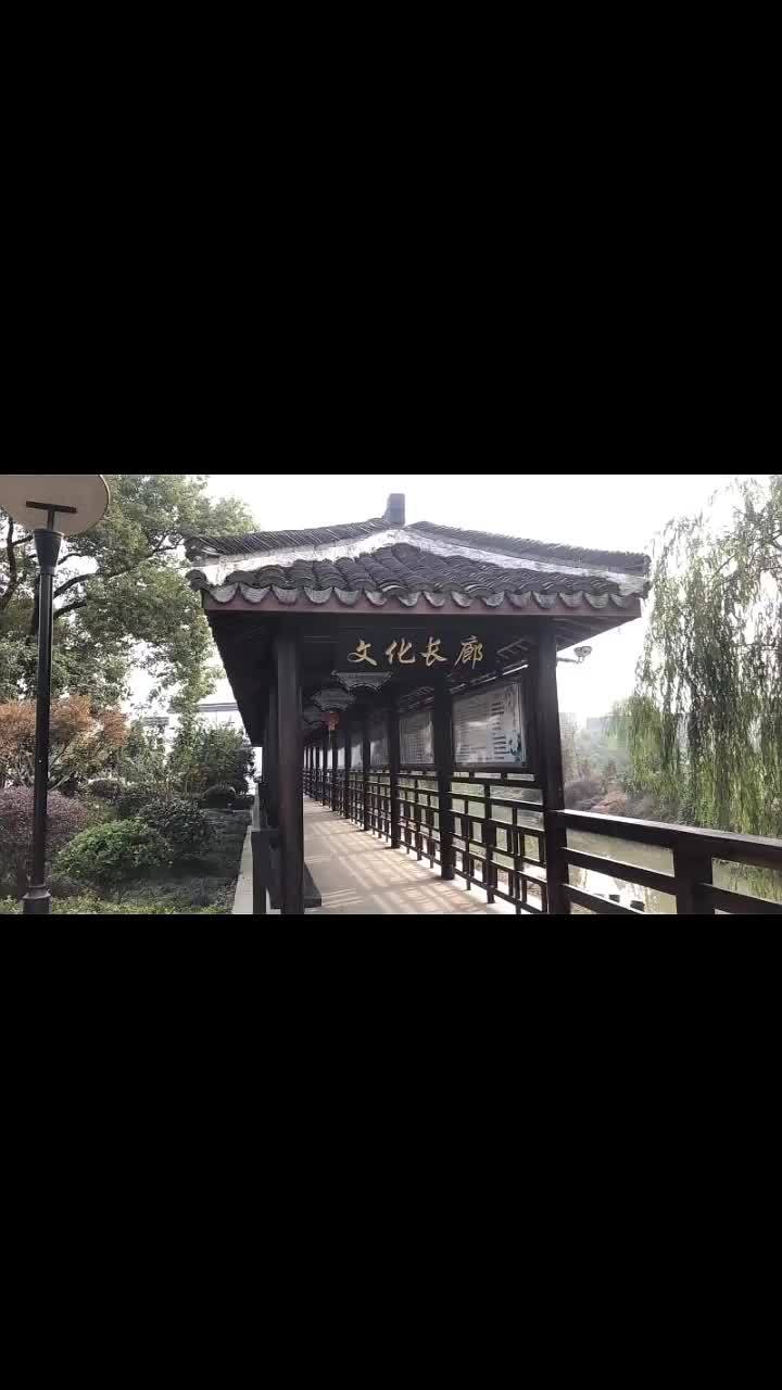 文化礼堂我的乡村我的家海盐县西塘桥街道八团村