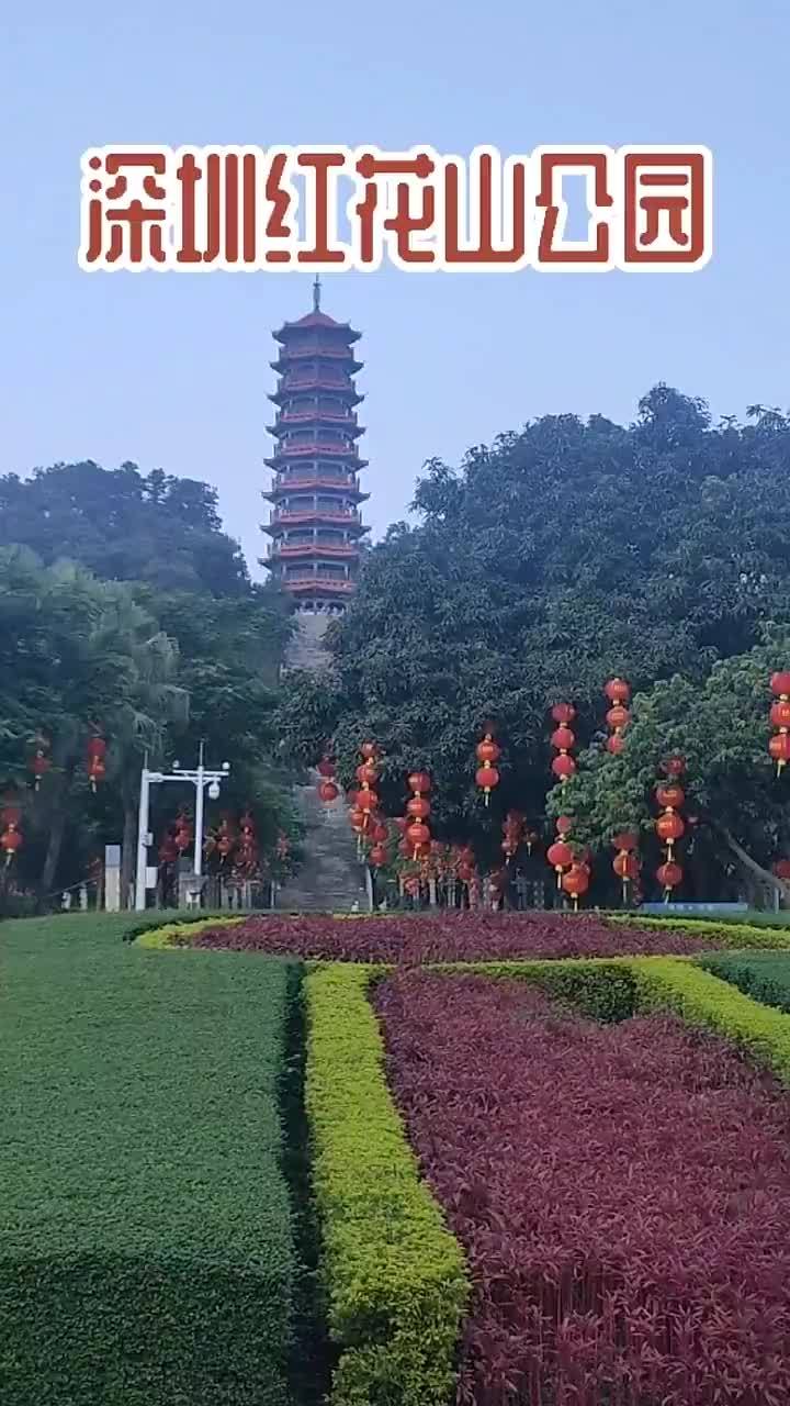 今日分享深圳红花山公园