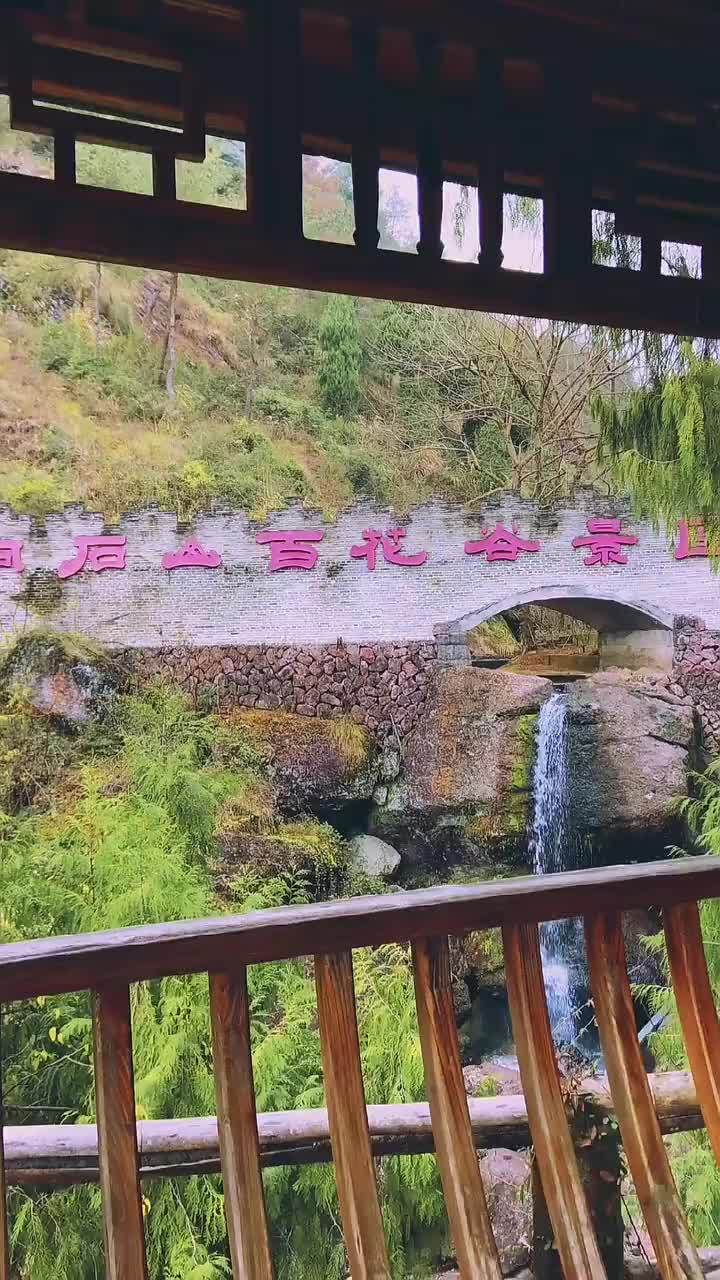 仙居响石山百花谷景区等待一场花的盛放向往的地方