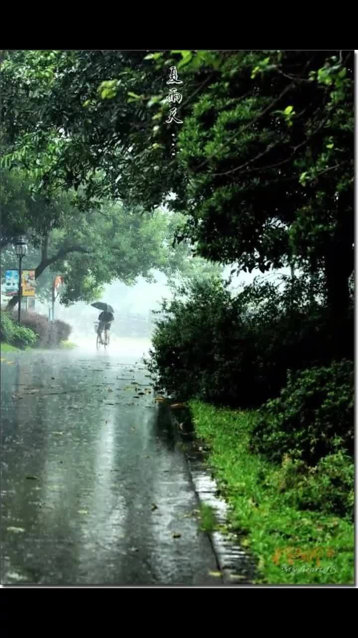 下雨时的场景图片