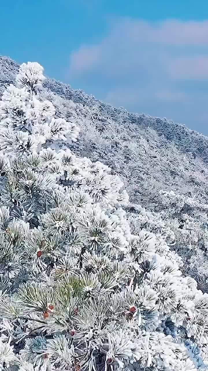 天台华顶山雪景图片