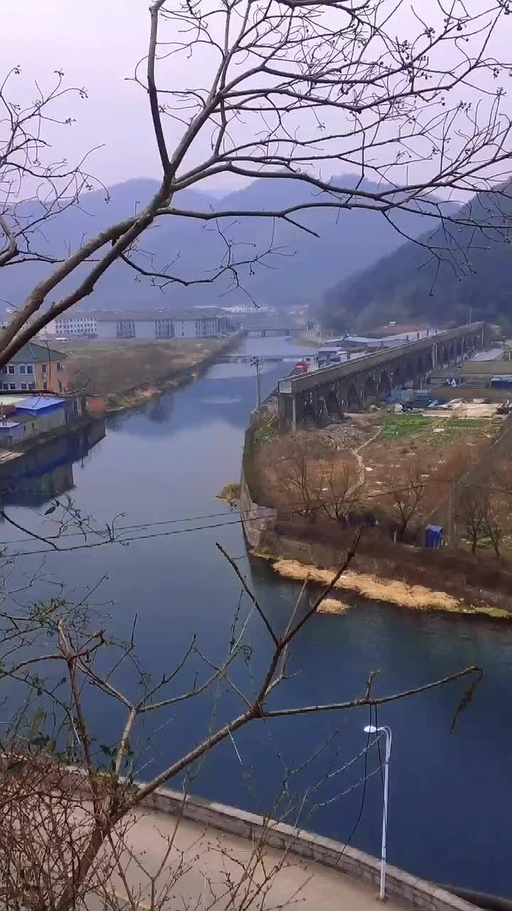 余姚陆埠镇