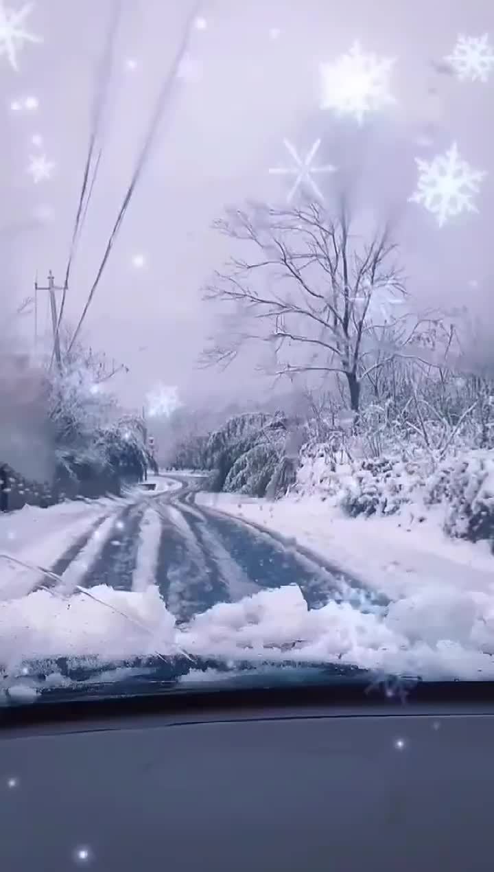 雪景真美图片