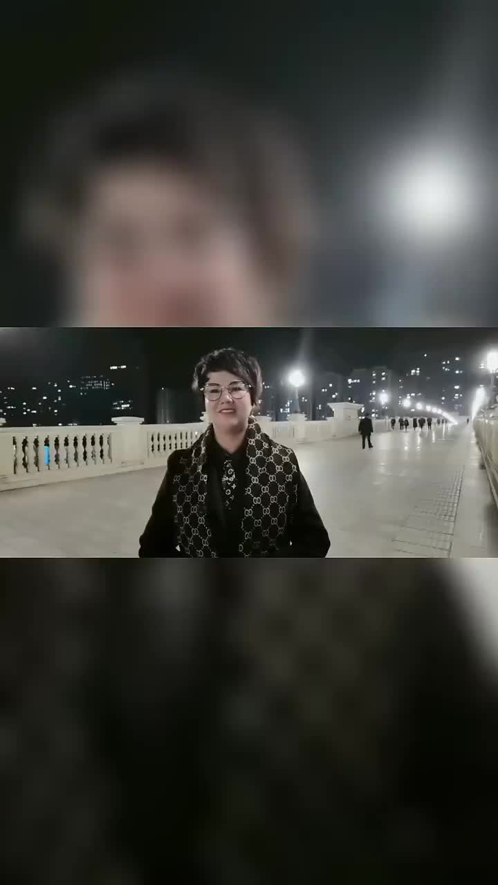 千言万语贺新年捷克华人华侨妇女联合会会长祝新春快乐