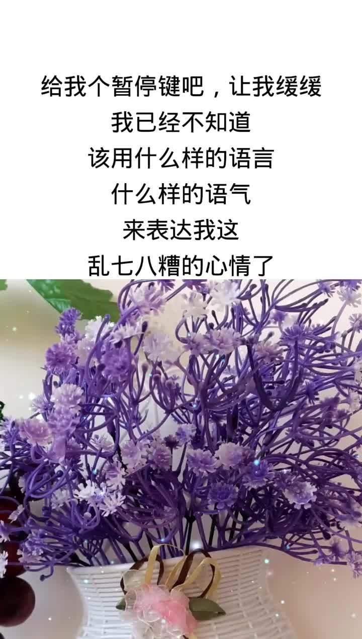 现在无法表达乱七八糟的心情