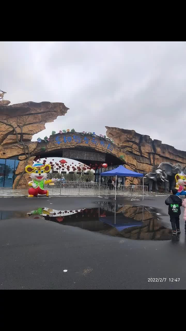 寒假随手拍慈溪中心小学冯雨萌我的动物园之旅