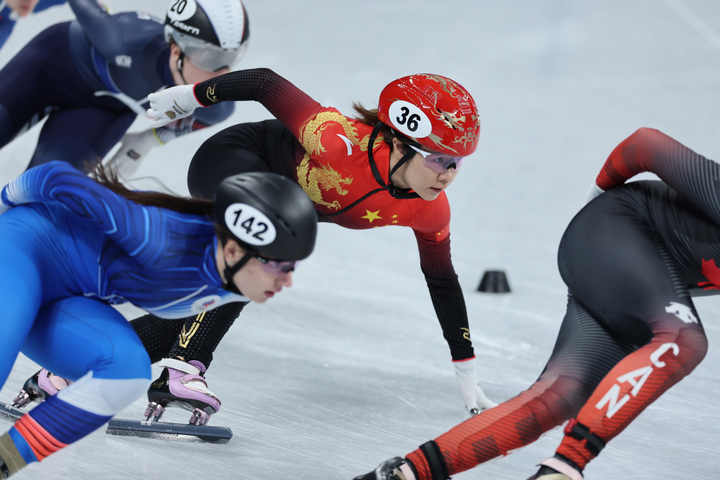中国冬奥短道速滑图片