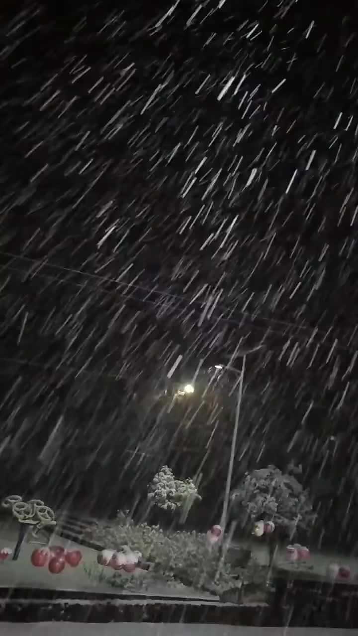 漫天飞舞的鹅毛大雪