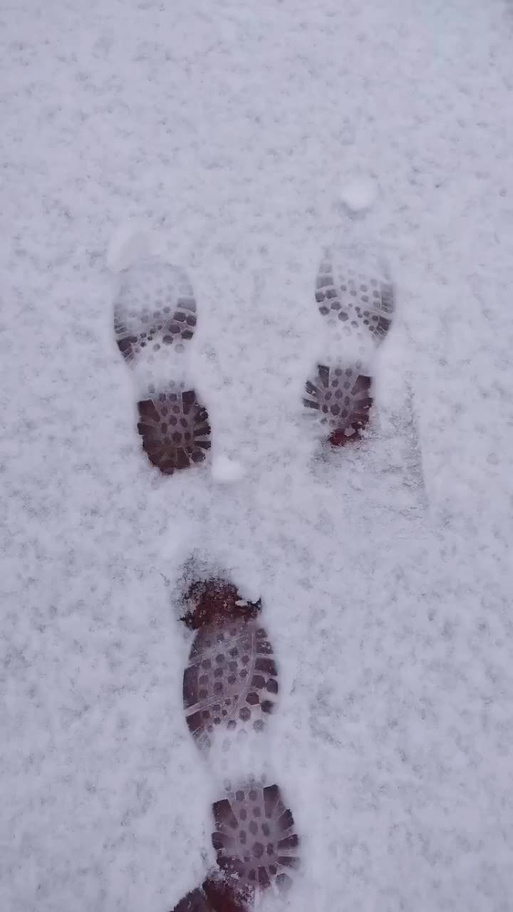 雪地的脚印