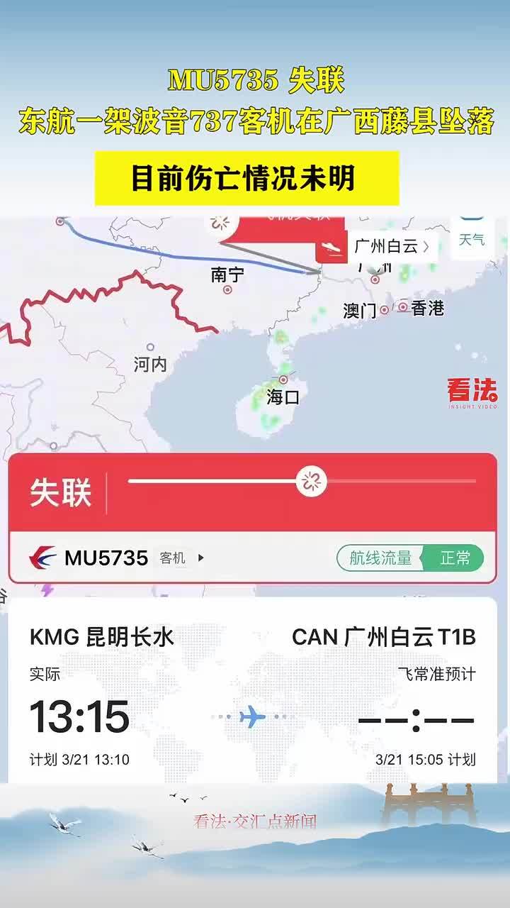 mu5735失联东航一架波音737客机在广西藤县坠落