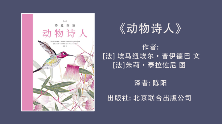 动物诗人.jpg