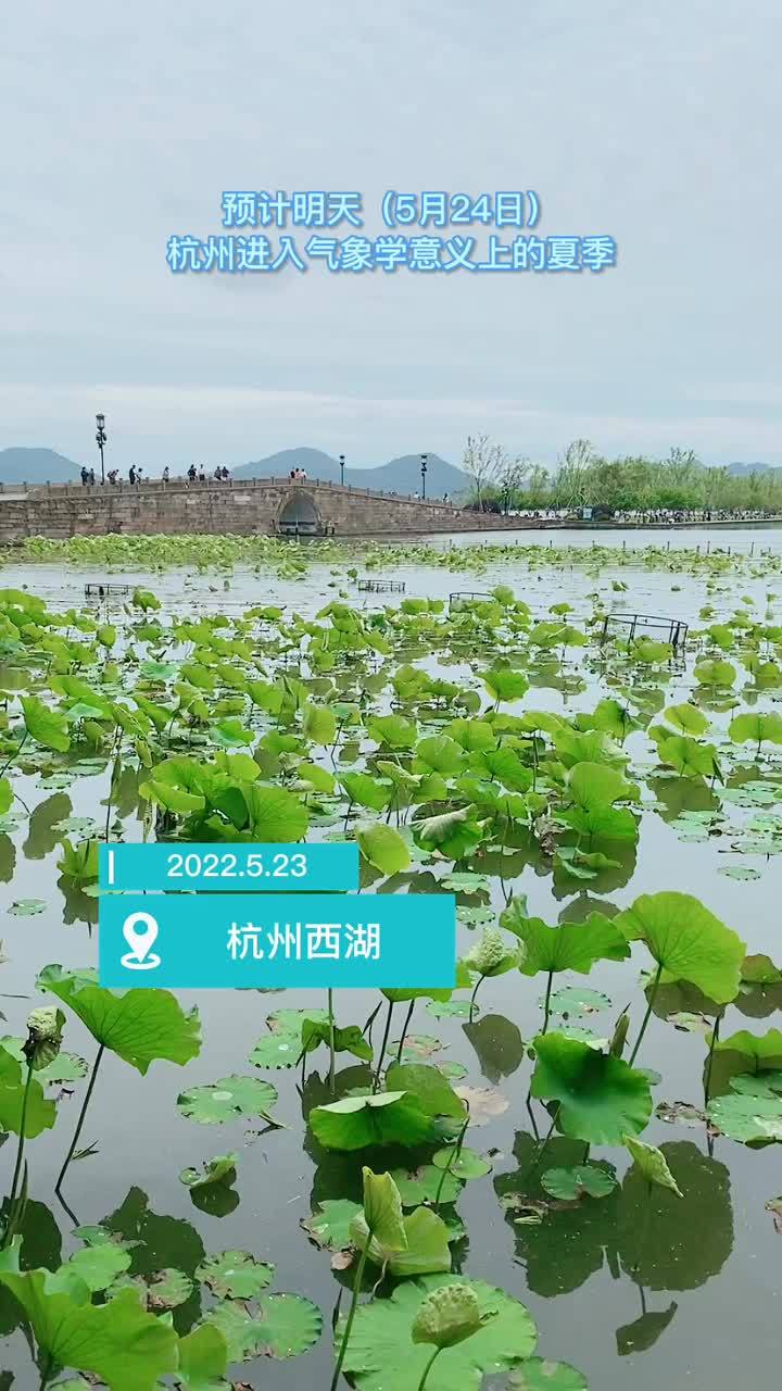 杭州明日入夏白娘子现身断桥道别超长版春天