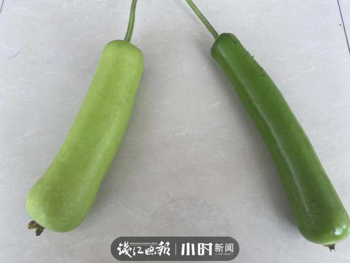 微信图片_20220529164629.jpg