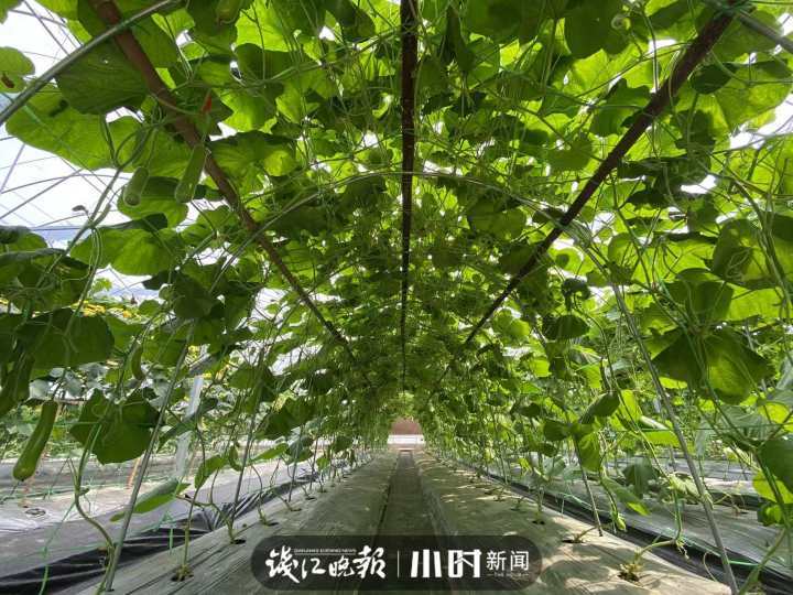 微信图片_20220529164644.jpg