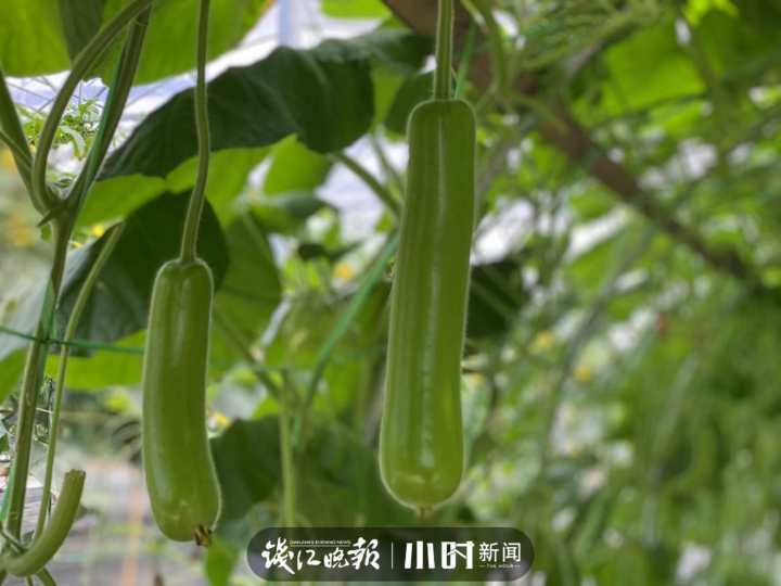 微信图片_20220529164639.jpg