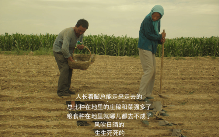 微信图片_20220712192233.png
