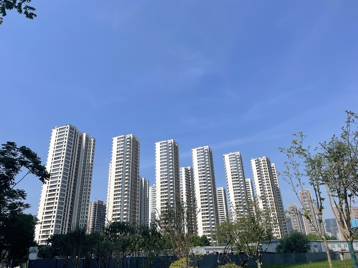 创世记.jpg