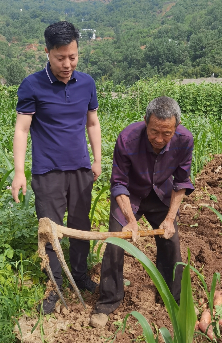 政政有词离任不移情金雪华在山阳做网红县长有别样的成就与幸福