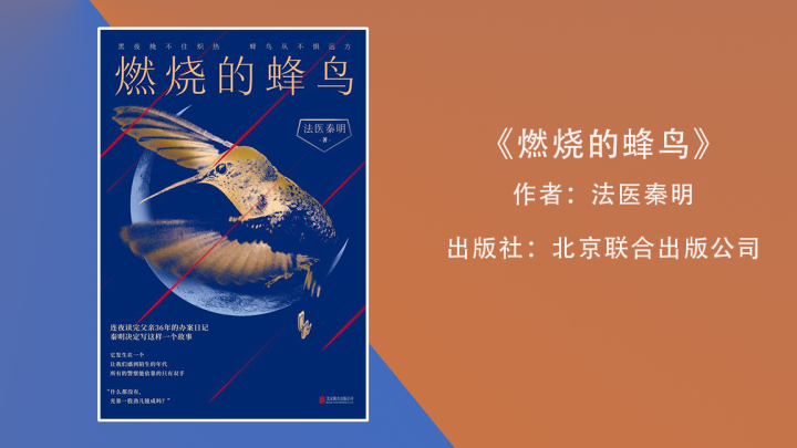 燃烧的蜂鸟.jpg