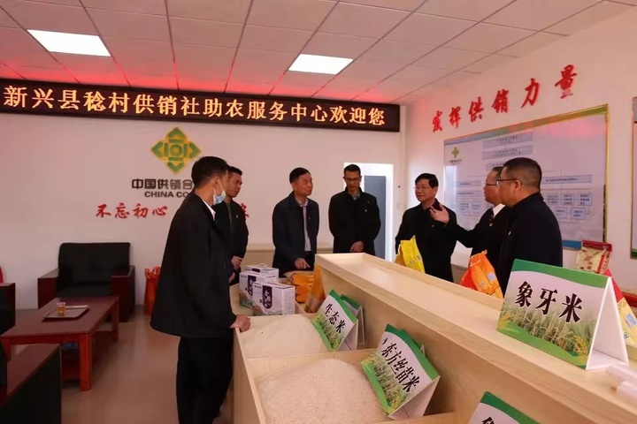 12dce87c8ea184ee44b5d736045c9cc.jpg