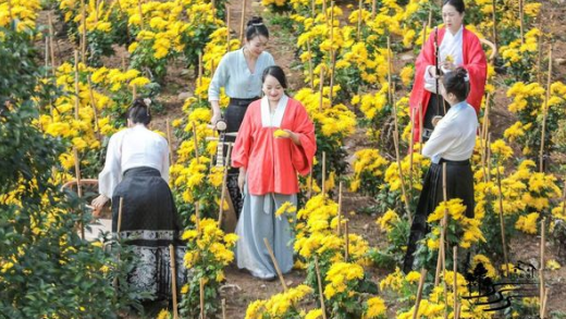 enjoying-traditional-chinese-music-performances