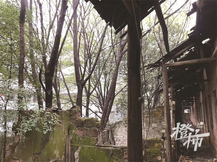 微信图片_20221122234819(12015944)-20221123003823.JPG